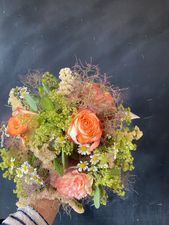 sommerlich apricot