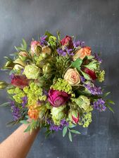 bunte Freilandrosen