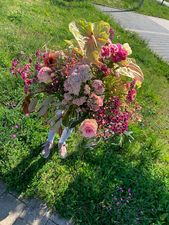 rosa, pinke Wolke